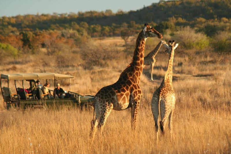 Makweti Safari Lodge Welgevonden Game Reserve Exterior photo