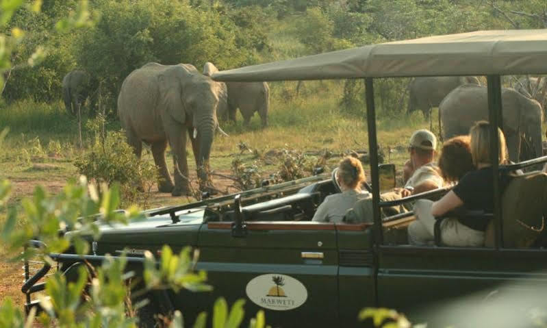 Makweti Safari Lodge Welgevonden Game Reserve Exterior photo