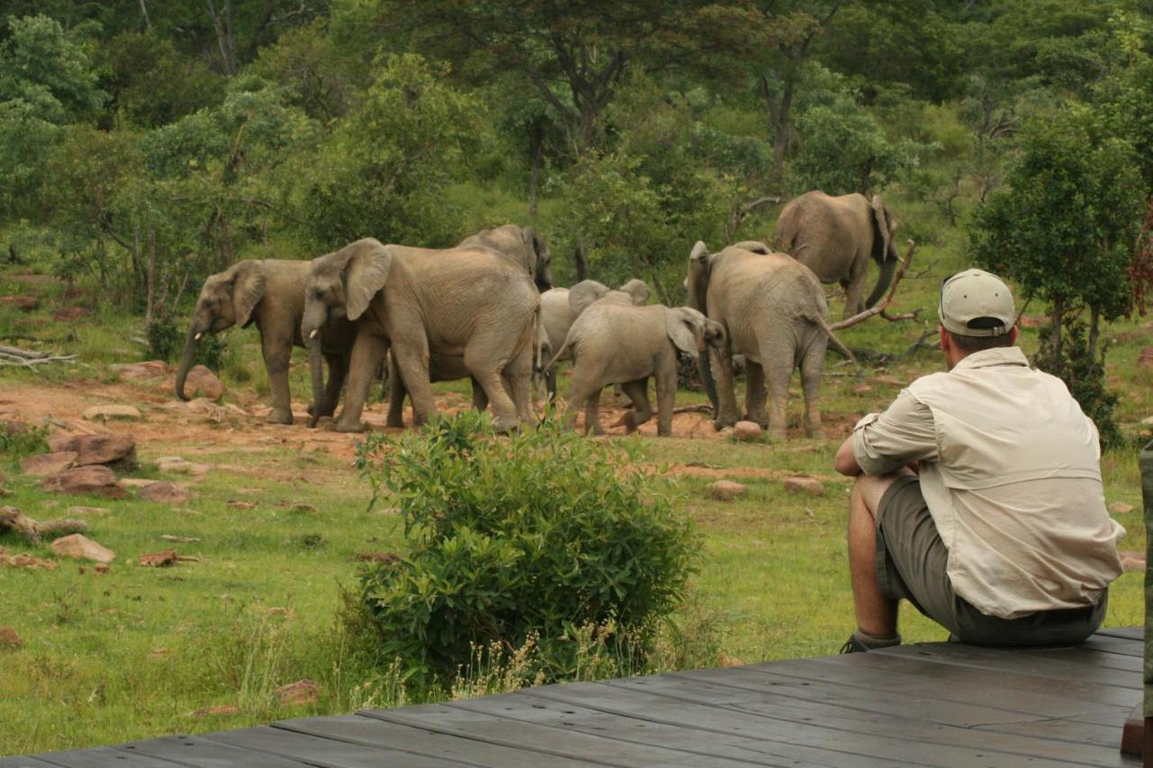 Makweti Safari Lodge Welgevonden Game Reserve Exterior photo
